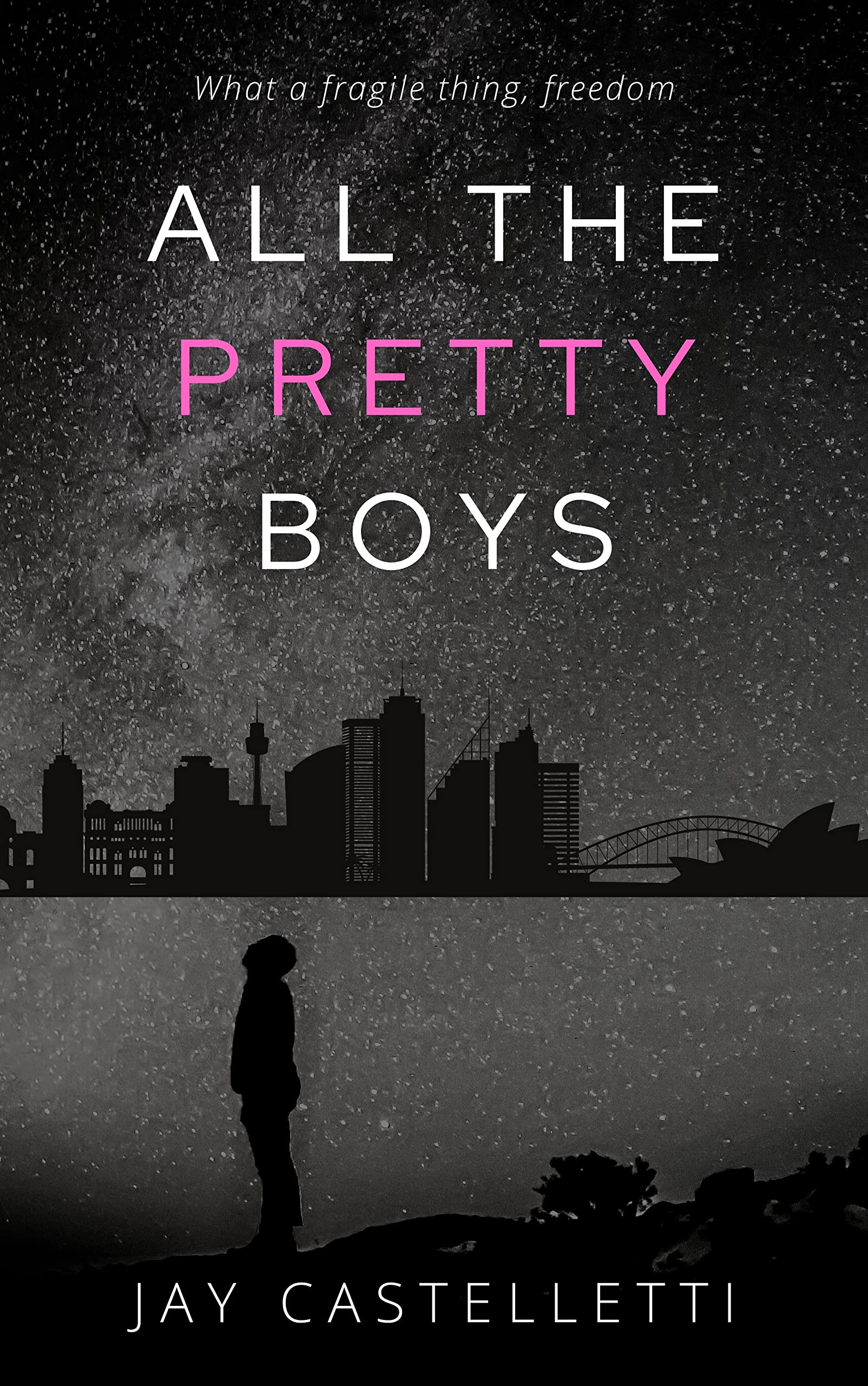 Jay Castelletti: All the Pretty Boys (Paperback, 2021, Luxxmore)
