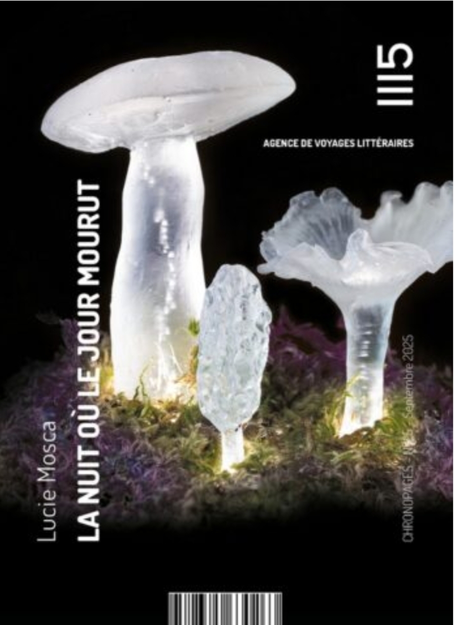 Lucie Mosca: La nuit où le jour mourut (Paperback, French language, 2025, 1115)