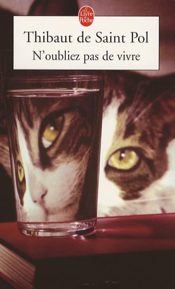 Thibaut de Saint-Pol: N'oubliez pas de vivre : roman (French language, 2006, Librairie générale française)